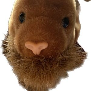 Ty Beanie Babies Walrus Paul 8"